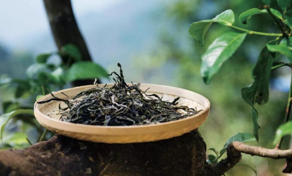 云南茶叶的种类有哪些