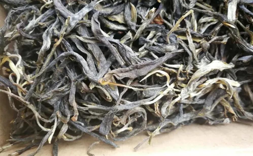 磨烈古树茶的特点