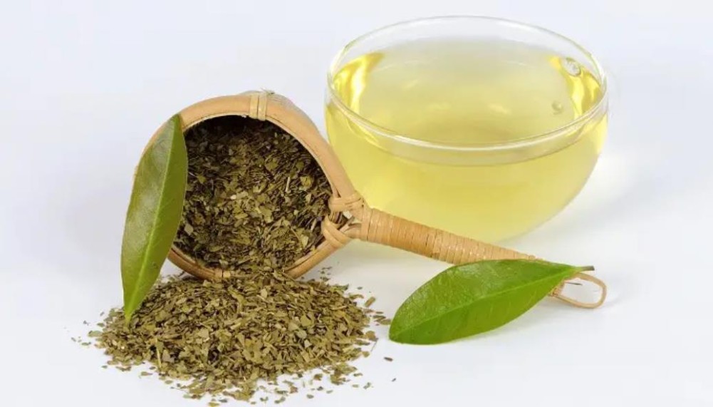 马黛茶是什么茶有哪些特点