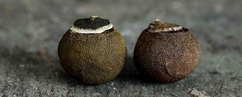 小青柑和普洱茶的区别