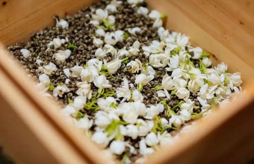 喝茉莉花茶用什么茶具