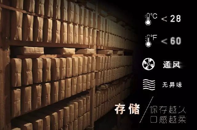 为什么茯茶不会过期，反而还能“越陈越好”