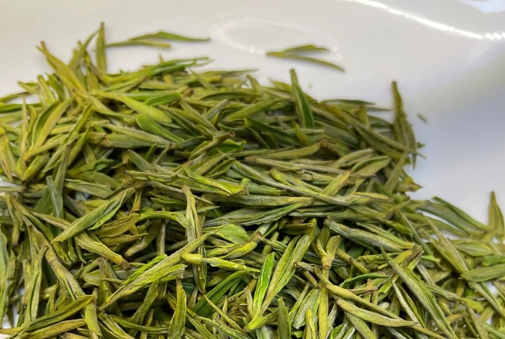 安吉白茶保质期有多久