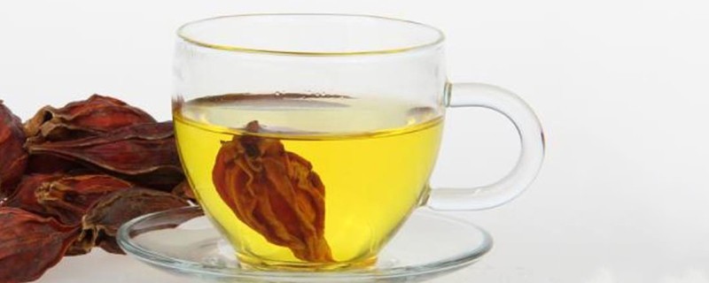 女人喝栀子茶有害处不