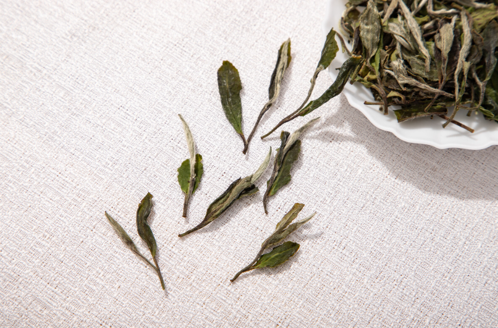 白茶的品种与特征介绍，喝懂白茶