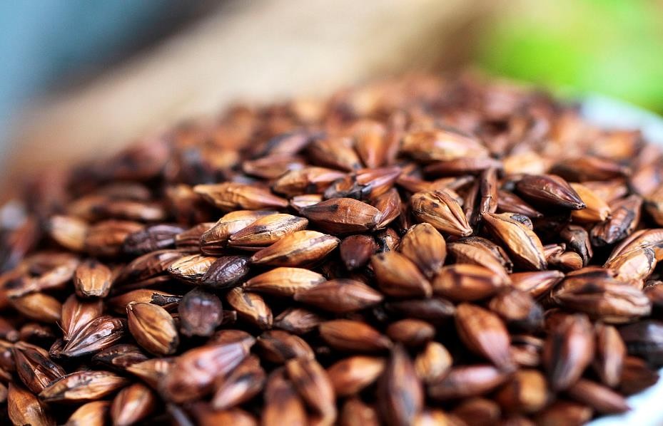 大麦茶和麦芽茶的区别