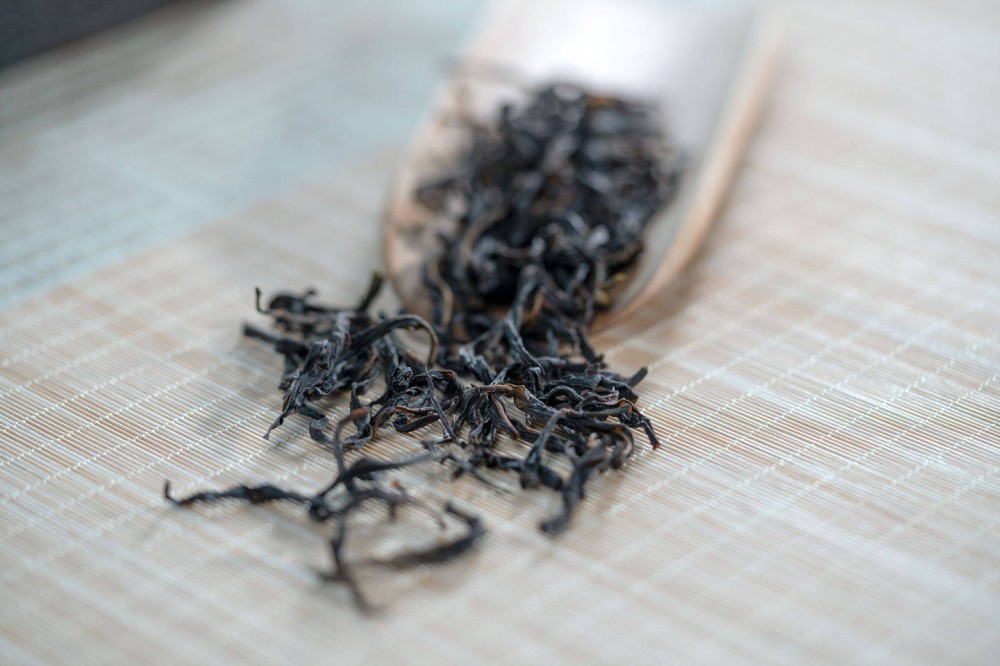 凤凰单丛茶是绿茶还是红茶