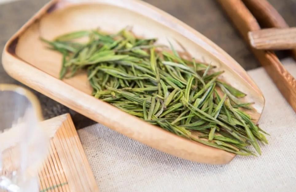 安吉白茶和福鼎白茶的区别