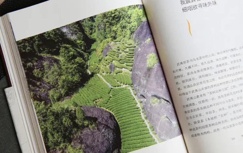 溪谷留香不可思议说的是什么