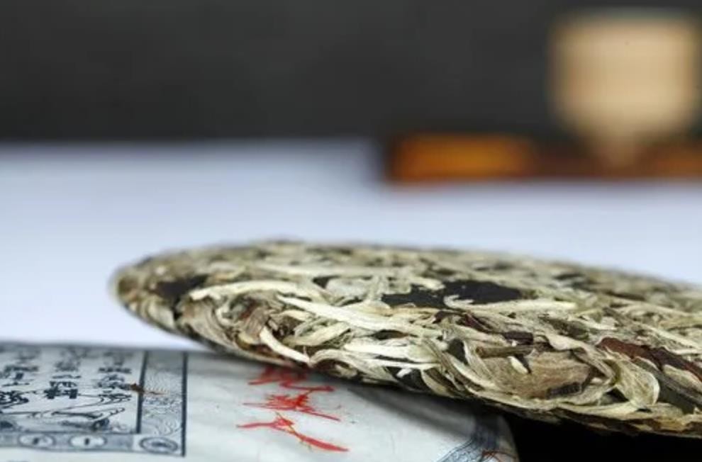 月光白属于白茶还是普洱茶