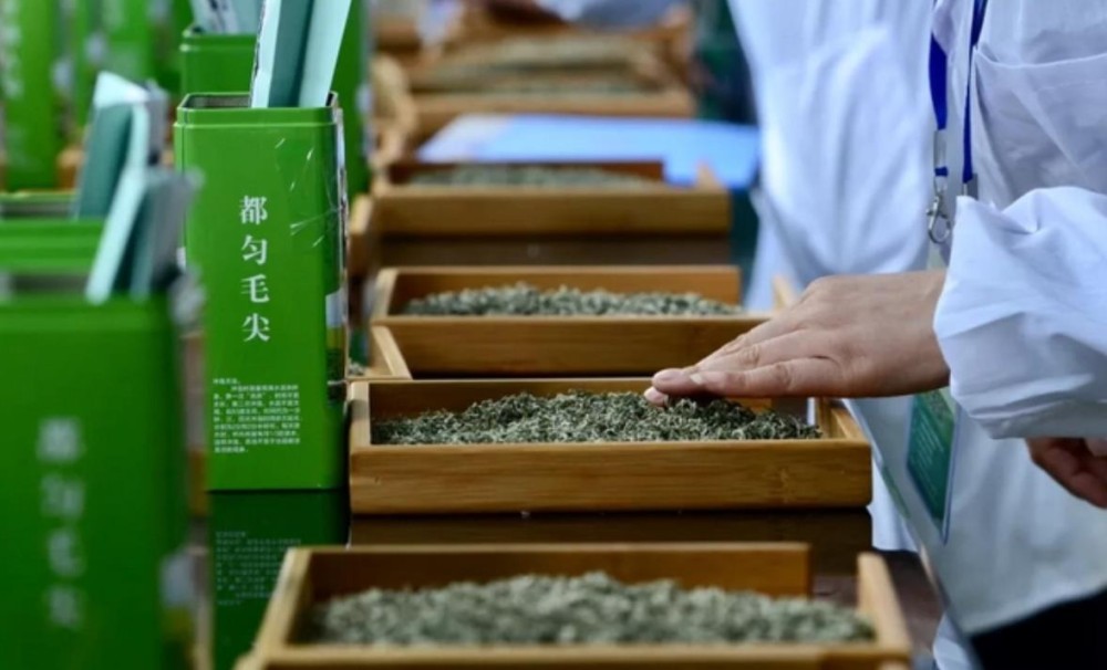都匀毛尖的加工工艺以及要求
