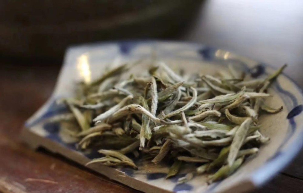 细说白茶中的荒野白茶,有哪些特点与优势