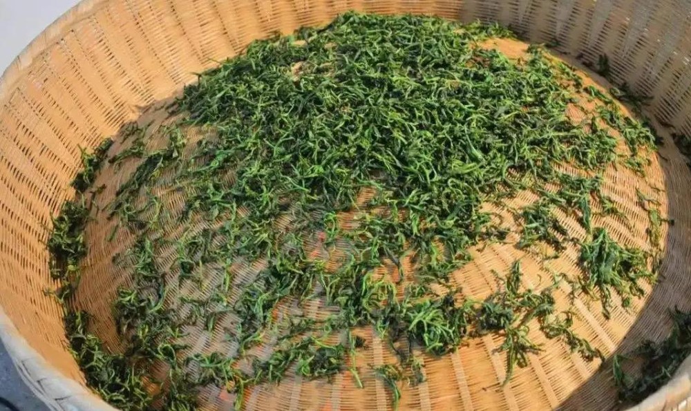 绿茶烘干的温度