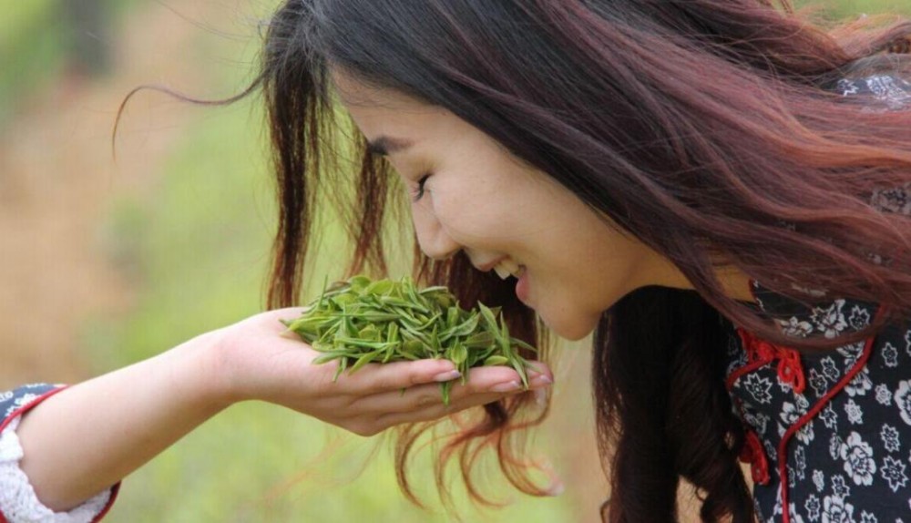 春茶是几月份的茶