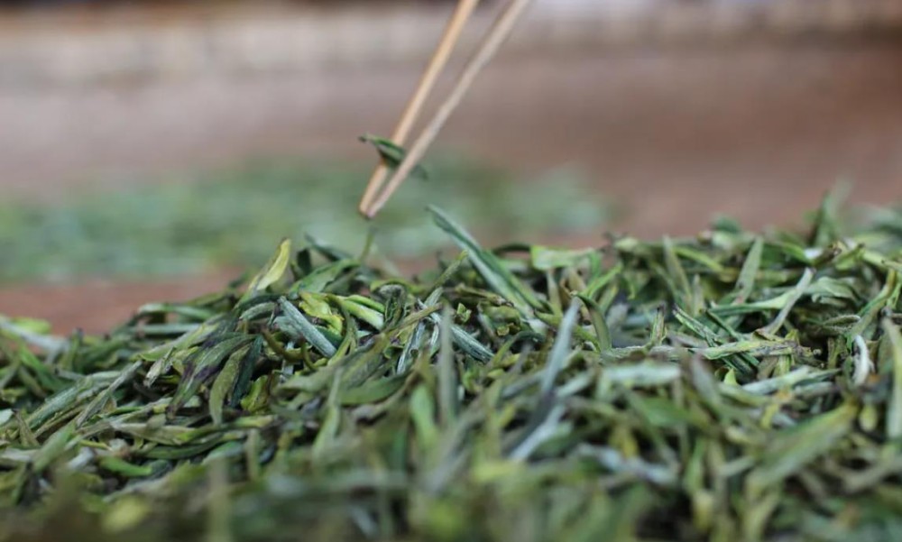 霍山黄芽黄茶的特征以及显著特点