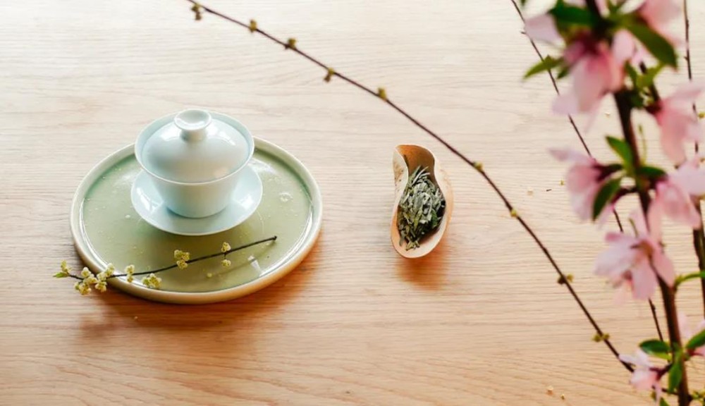 龙井43和老茶蓬的区别
