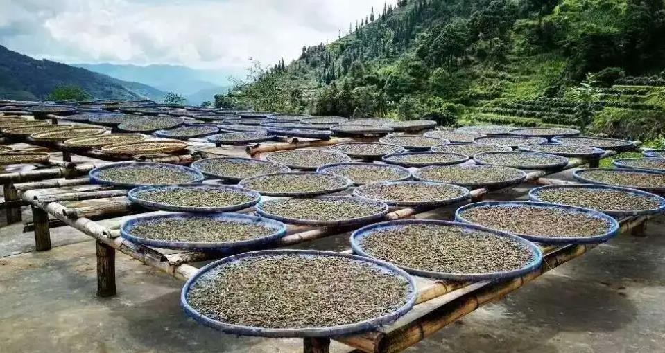 拼配茶的好处是什么