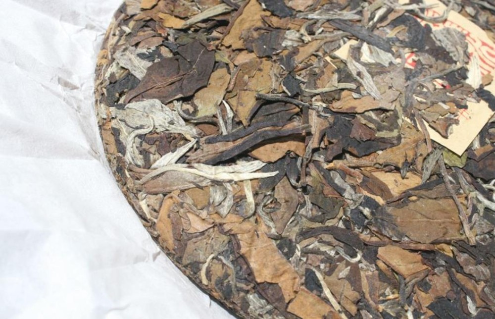 云南白茶是一种什么茶