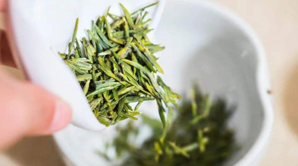 绿茶几月份有新茶