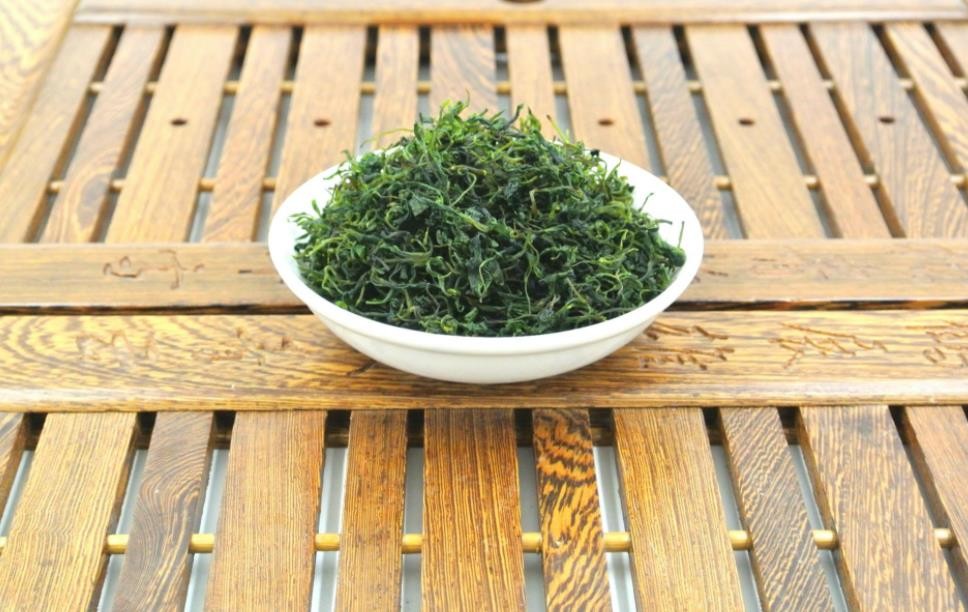 小叶苦丁茶是什么茶