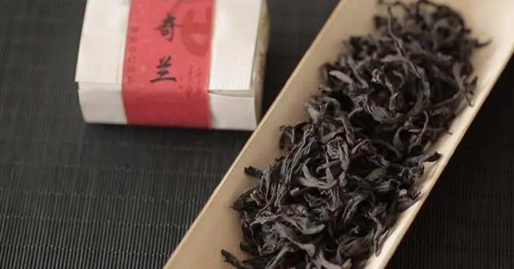 奇兰是什么茶