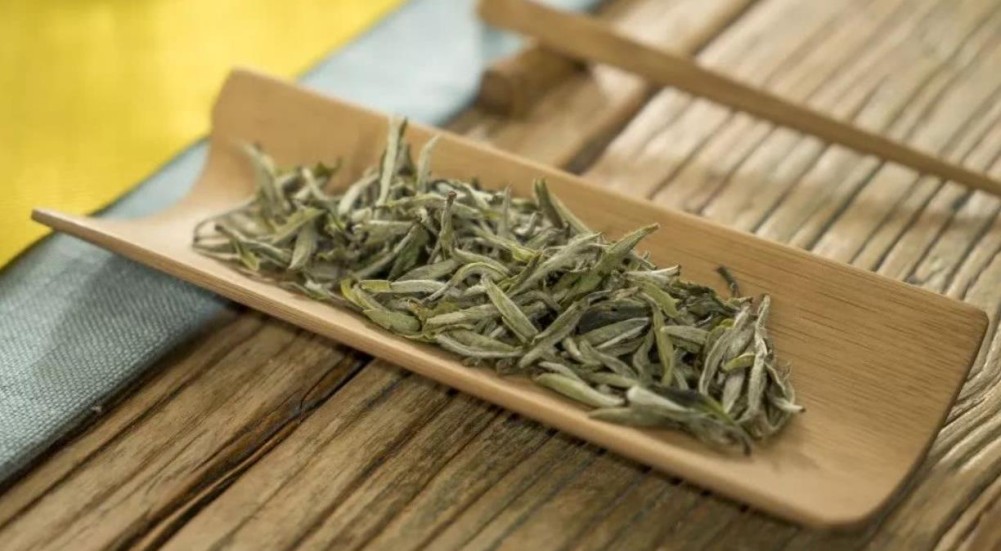 福鼎白茶属于什么茶 福鼎白茶的特点及品种介绍