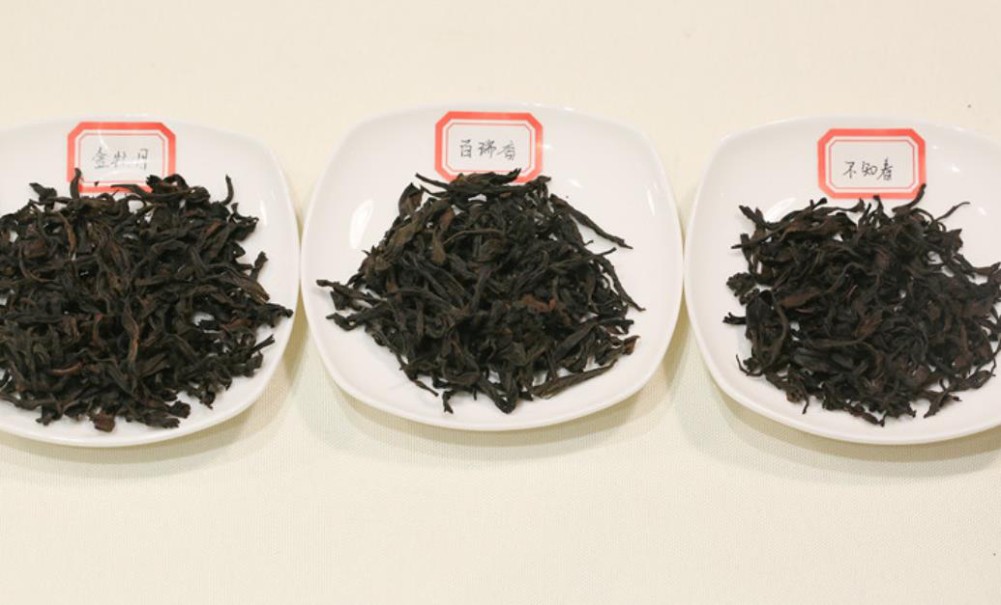 不知春是什么茶