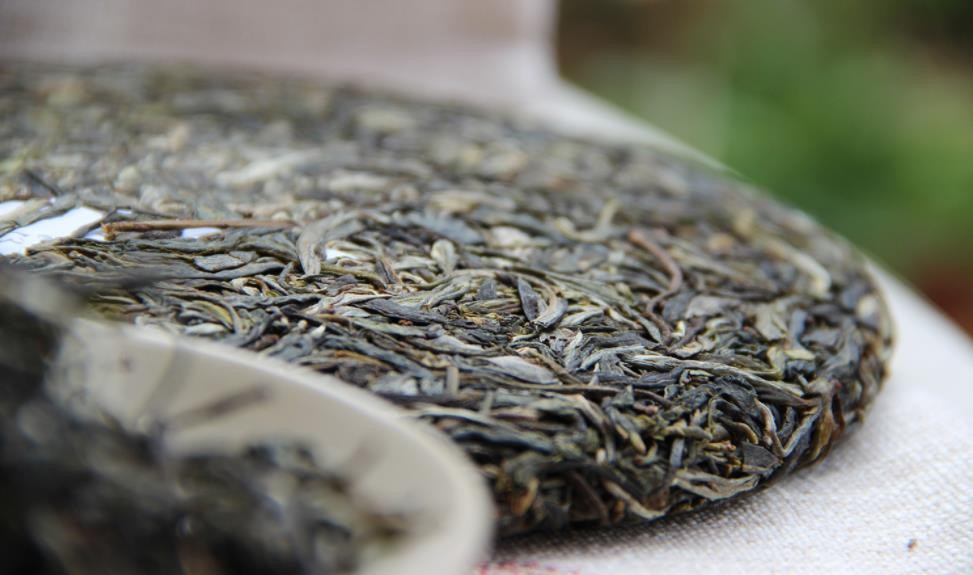 老班章是生茶还是熟茶