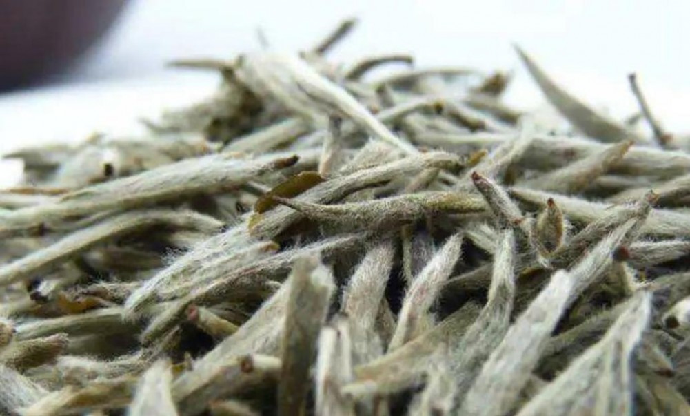茶毫是什么