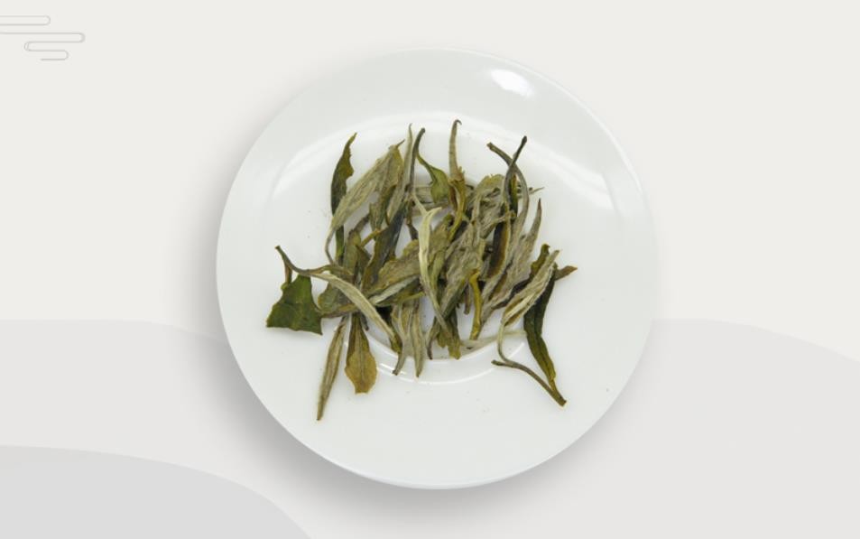 白牡丹都有哪些等级