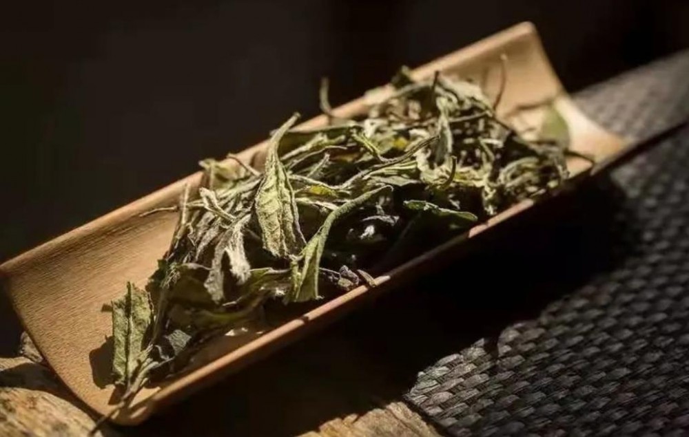 白牡丹新茶与老茶的区别