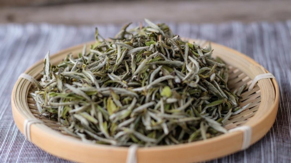 水仙白茶与福鼎白茶有什么区别