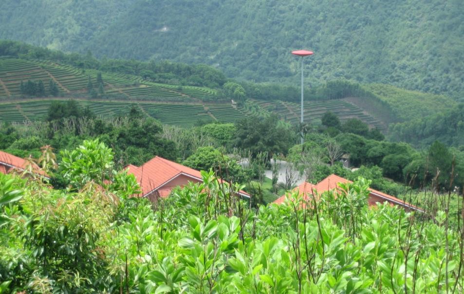 什么有茶树良种宝库之称