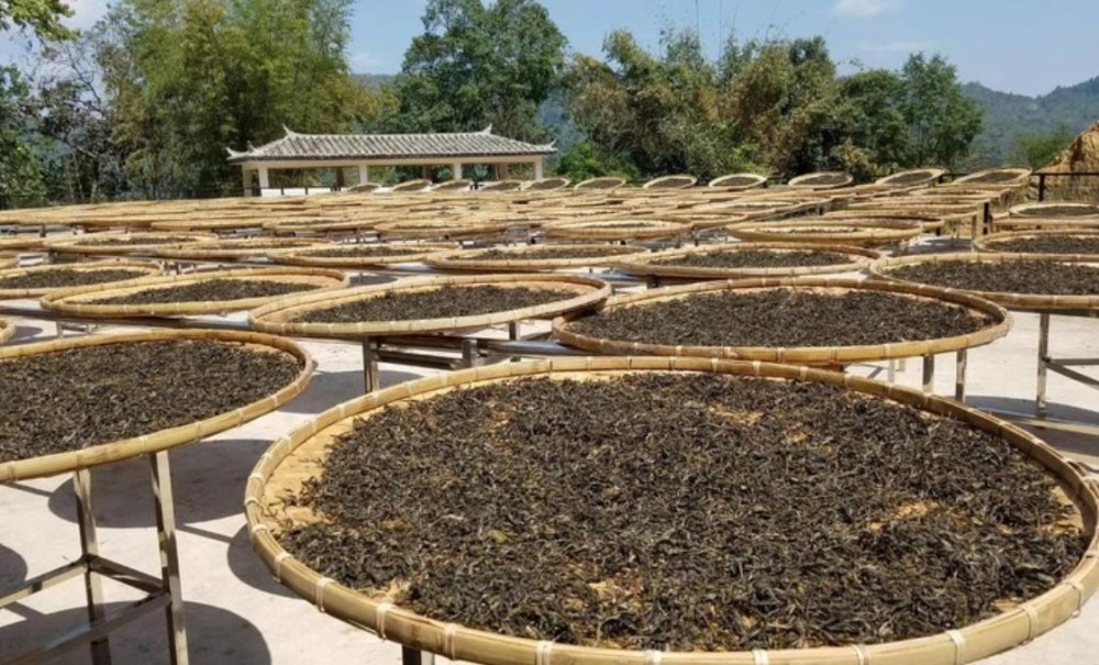 云南古树红茶的特点