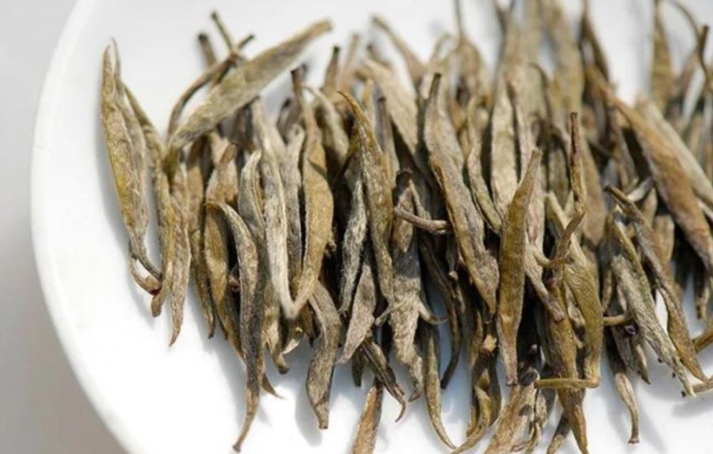 岳阳黄茶是什么茶