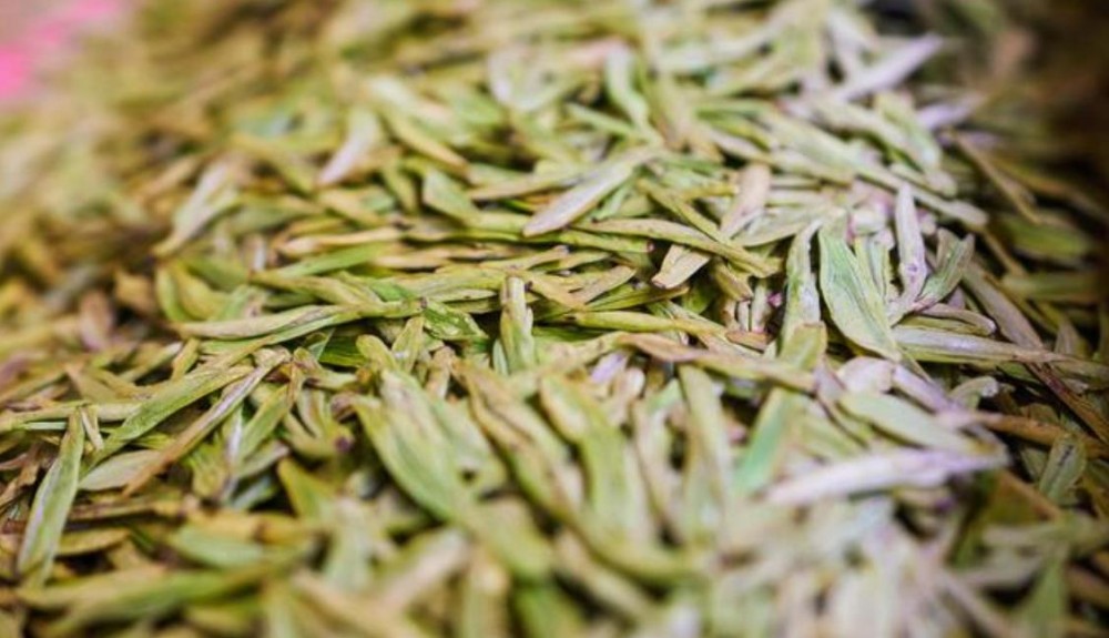 缙云黄茶是什么茶