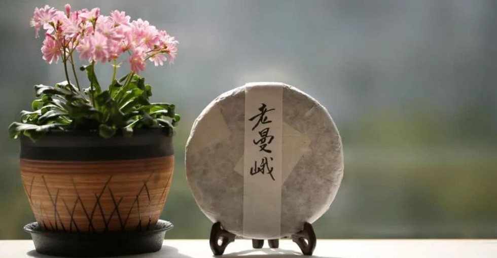 老曼峨古树茶口感特点