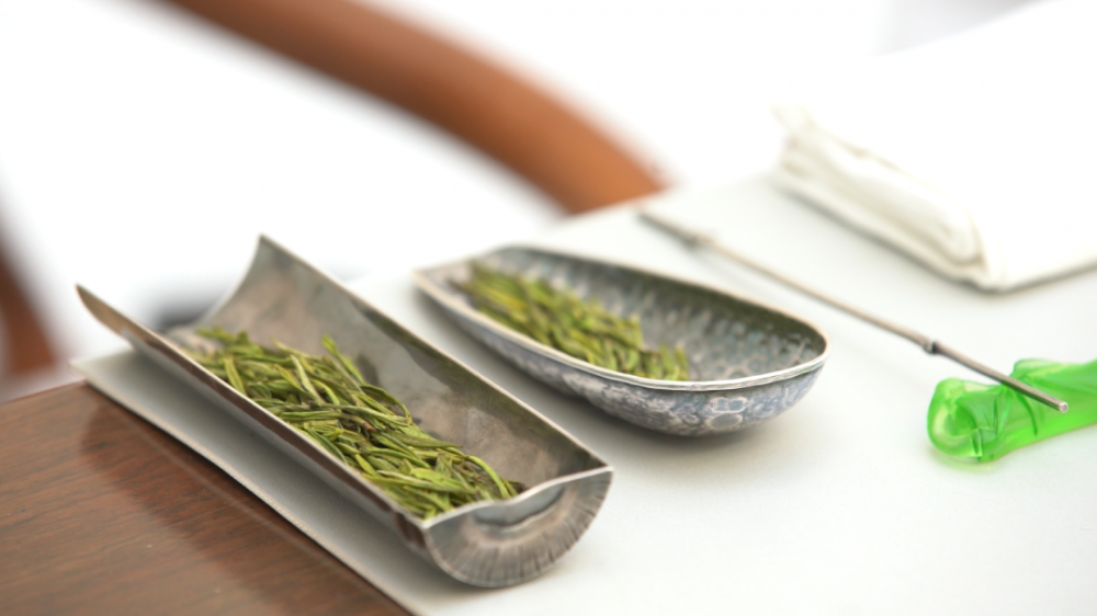 安吉白茶是什么茶树品种