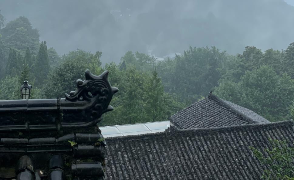 茶汤凉了，到底能不能喝