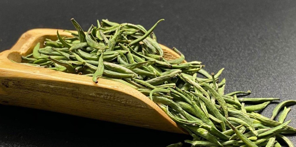 金寨翠眉是什么茶