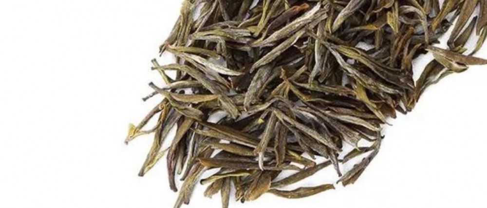 黄小茶是什么茶