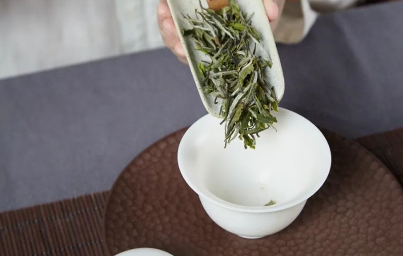 白茶什么季节喝