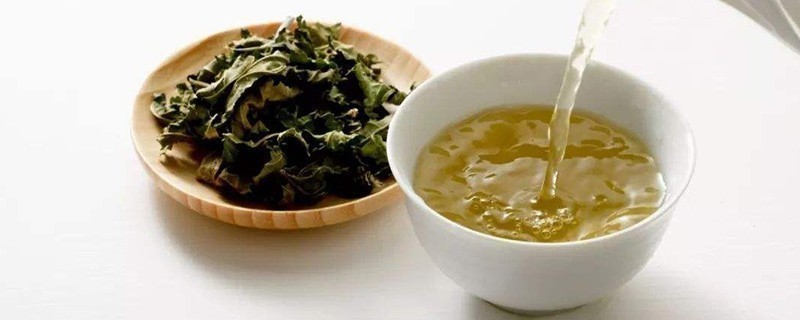 桑叶茶怎么制作方法