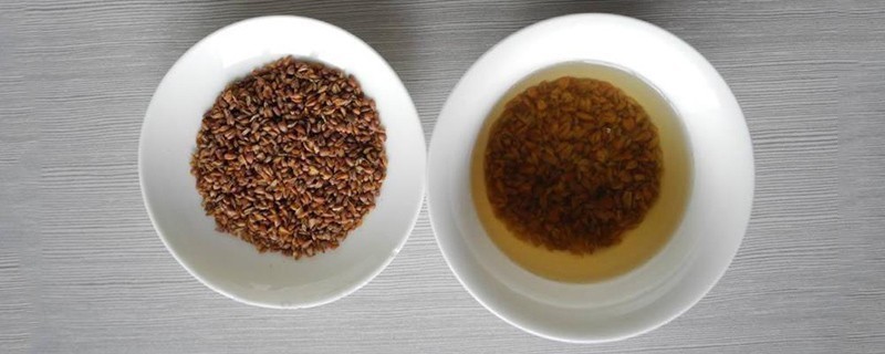荞麦和大麦茶的区别