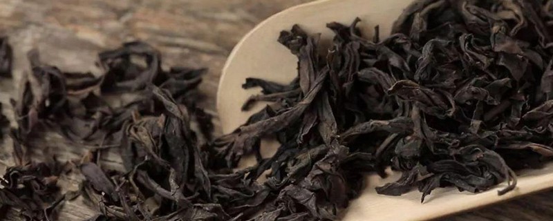 奶茶可以用大红袍来做吗