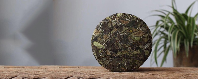 白茶属于什么茶红茶还是绿茶