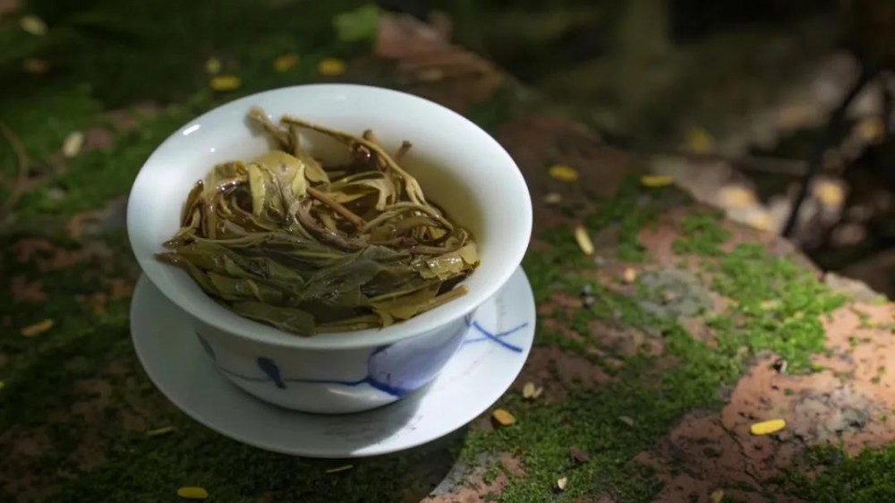 如何根据口感鉴别古树茶?这几个技巧值得收藏