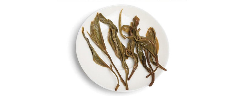 易武麻黑古树茶特点