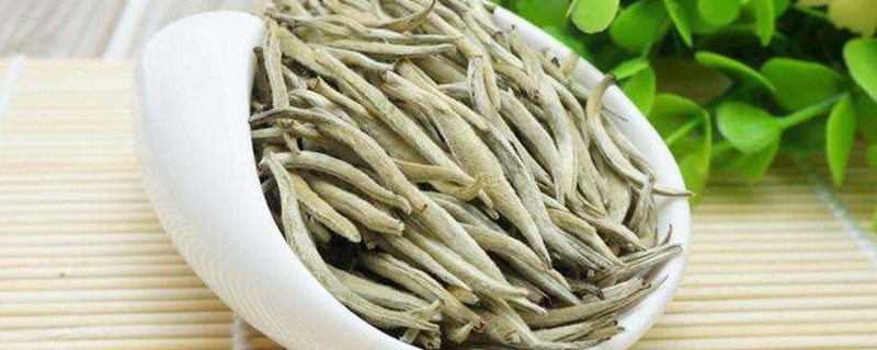 大白毫属于什么茶