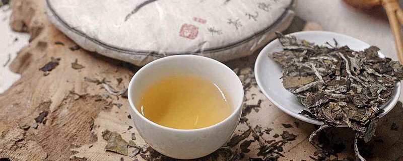 福鼎白茶分类等级